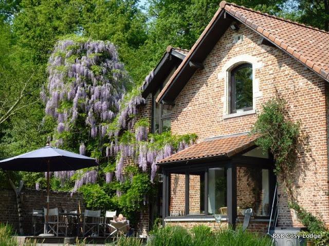 Cosy Lodge Dilbeek Zewnętrze zdjęcie